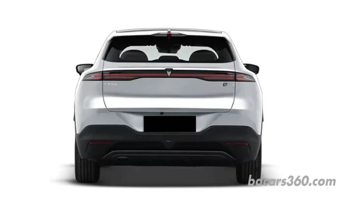 Back view