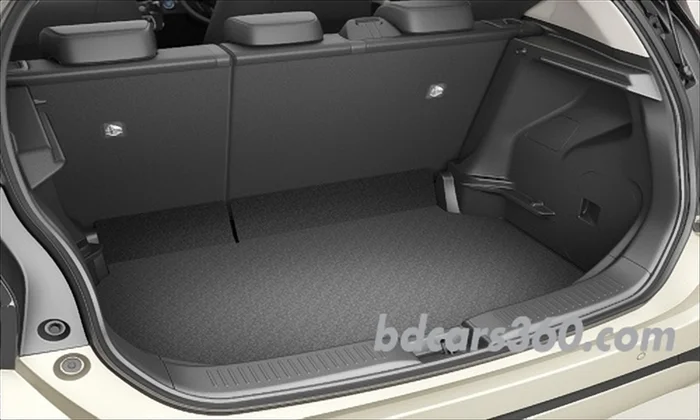 Toyota Axio 2022 Rear Door