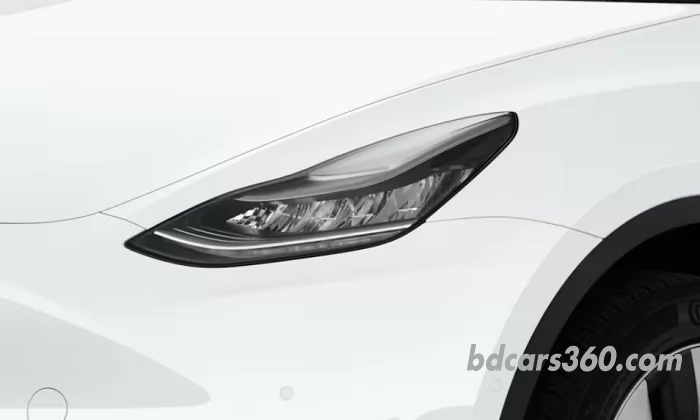 Head light
