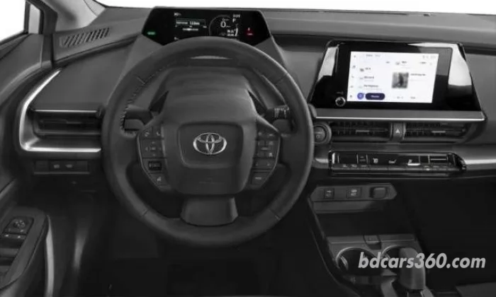 Steering Wheel View