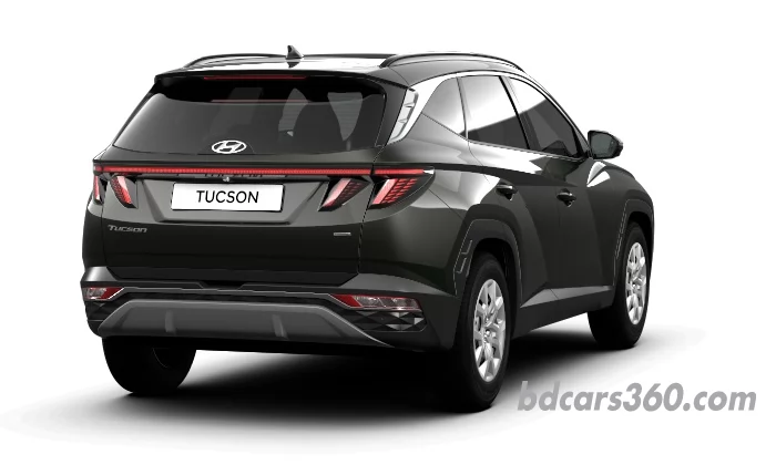 Rear view.