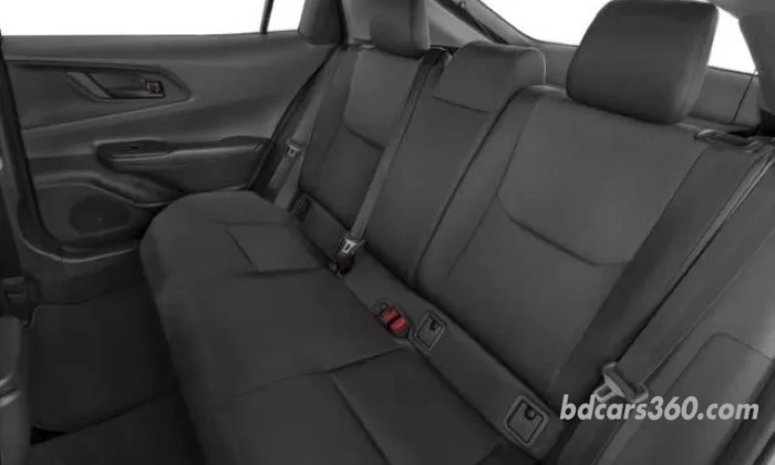 Rear Seat View