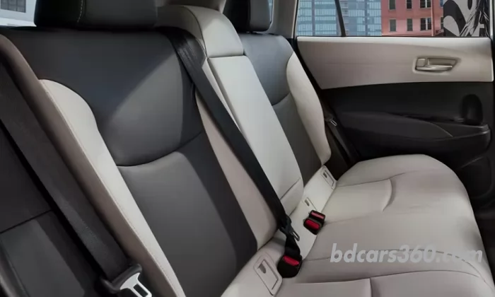 Rear seats 