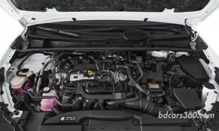 Engine Compartment View